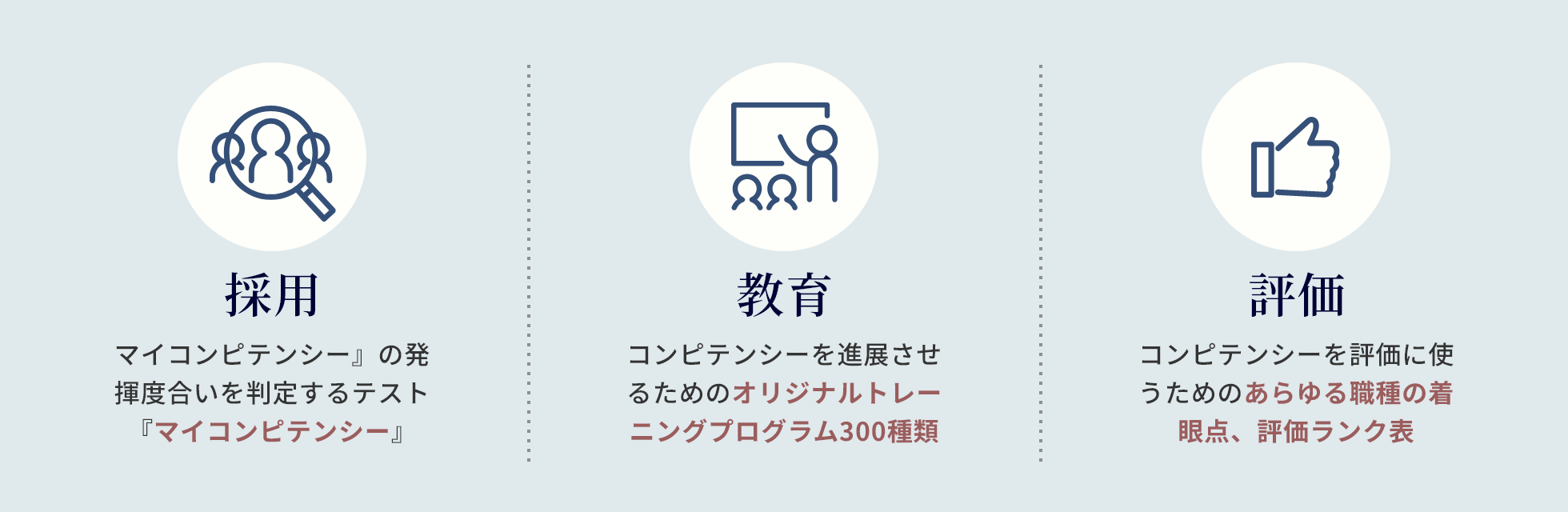 採用・教育・評価